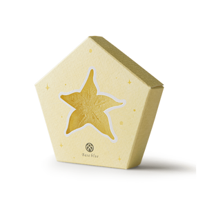 Body/Hand Soap Bar(Pack of 1)