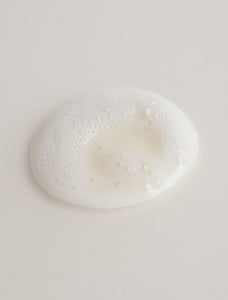 Anti-Frizz Shampoo 8.5 fl oz