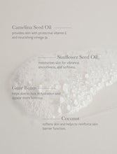 Load image into Gallery viewer, Body Cleanser 8.5 fl oz
