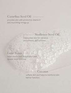 Body Cleanser 8.5 fl oz
